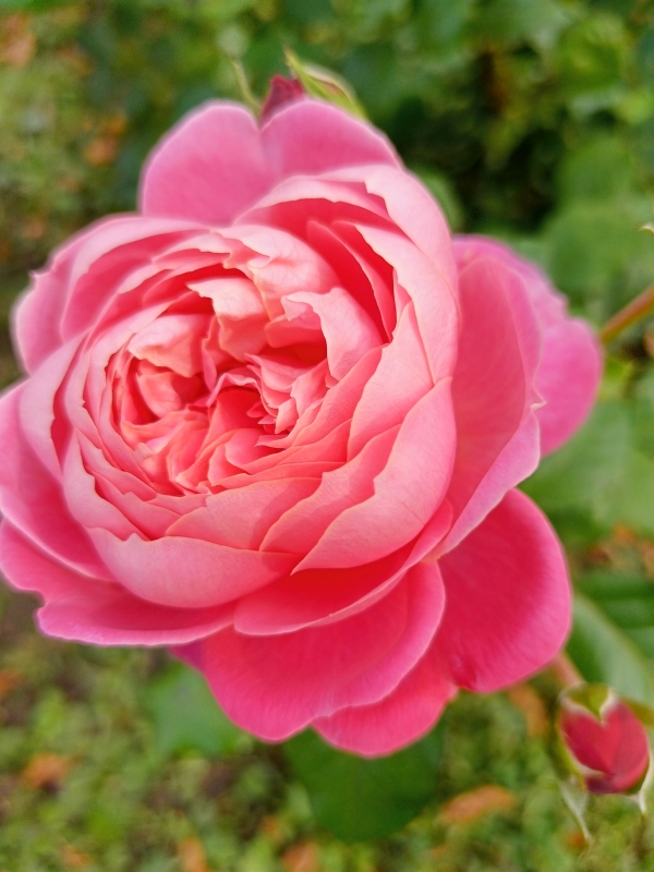 �� ��� 8 ����� �� �������� ��